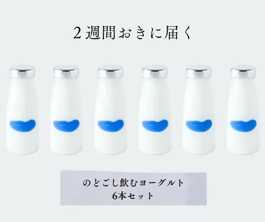 定期便　のどごし飲むヨーグルト6本分