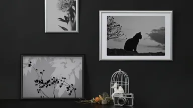 ハクバ アルミ額縁 PEORIA+（ペオリア プラス） 使用イメージ