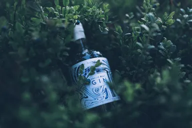 Arctic Blue Gin