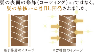 髪の補修_イメージ