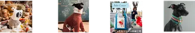 左から) Andante Dogwear、iG BY MACS、アトリエセリシール刺繍工房、くすのき犬具