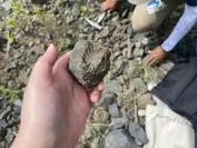 御所浦島の化石発掘体験