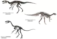 福井の恐竜たち