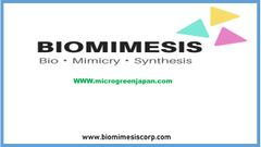 マイクログリーンジャパン事務局