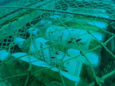 佐渡ヶ島 海底熟成酒 設置画像3