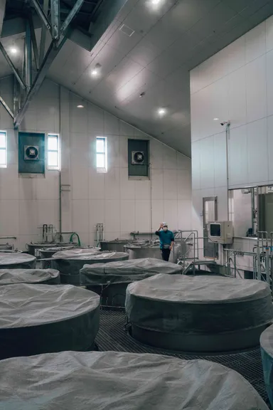 ツアー写真6 (C)Alex Day