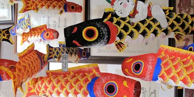 プログラムイメージ写真