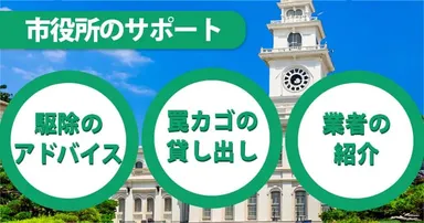 市役所イメージ