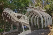 謎の巨大恐竜の骨