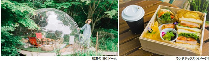 ROKKO森の音ミュージアム
春～初夏「SIKIドーム ピクニックプラン」
お一人様でも利用可能に！
2024年3月16日（土）～7月12日（金）