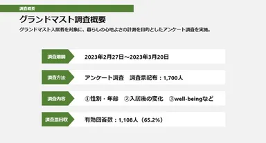 グランドマスト調査概要