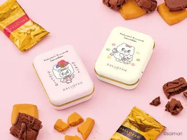 クマ子のトゥピ トゥピ ガトー缶