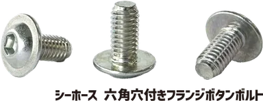 シーホース六角穴付きフランジボタンボルト