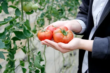 デリシャストマト2