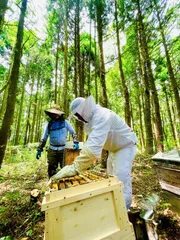 敷地内の養蜂場のはちみつ