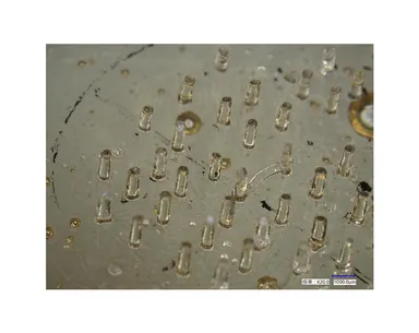 人体に優しい素材で作った、体内で溶解する生分解性マイクロニードル