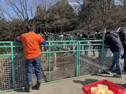 宝登山小動物公園節分イベントイメージ