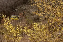 宝登山ロープウェイイメージ