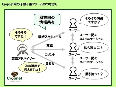 SNSの利用概念図