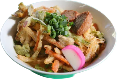 かしわ野菜かき揚げうどん