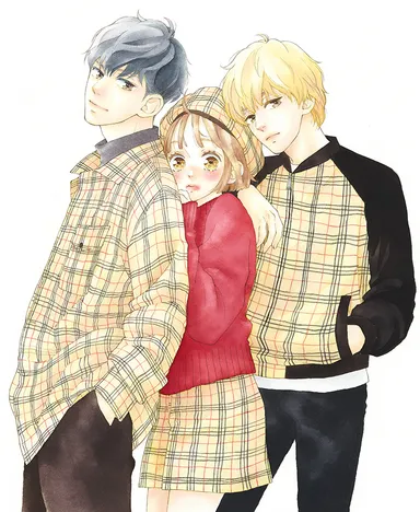 ・【サクラ、サク。】『サクラ、サク。』 MC6巻カバー