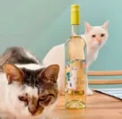 猫ワイン「ミケリースリング」