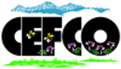 信濃の国／CEFCOのロゴ