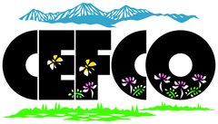 信濃の国/CEFCO