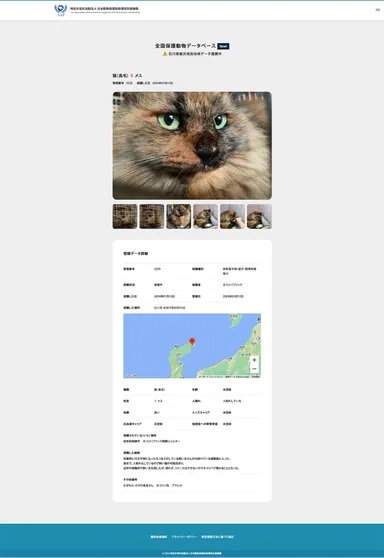 保護動物の情報詳細