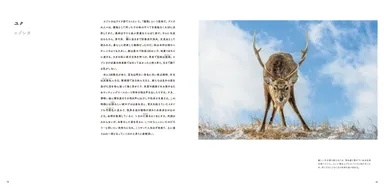 『カムイ』中面4