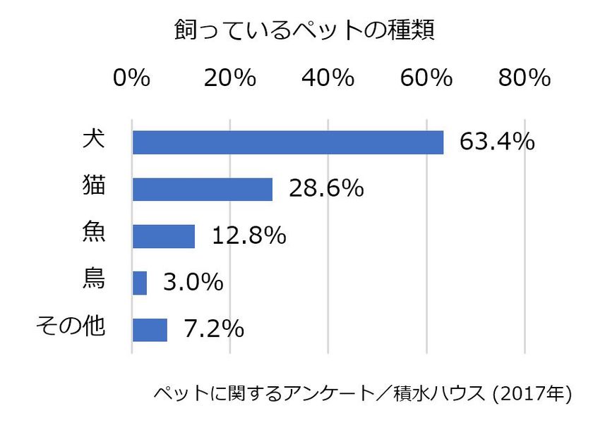 生活に潤いや安らぎをもたらす、
愛犬との暮らしをもっと心地よくする住まいづくり