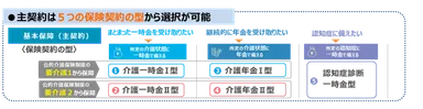 主契約・特則(オプション)の構成