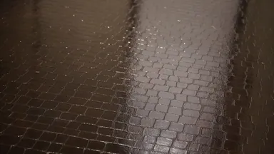 内装はクロコダイル柄など、あえて和でないものも使用