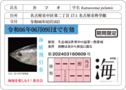 魚の免許証風割引カード※画像はイメージ
