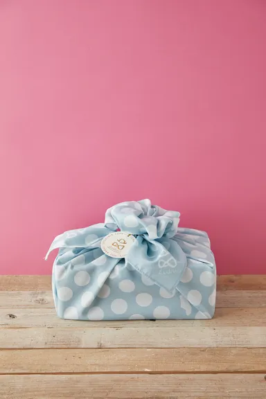 あしながおじさん画像