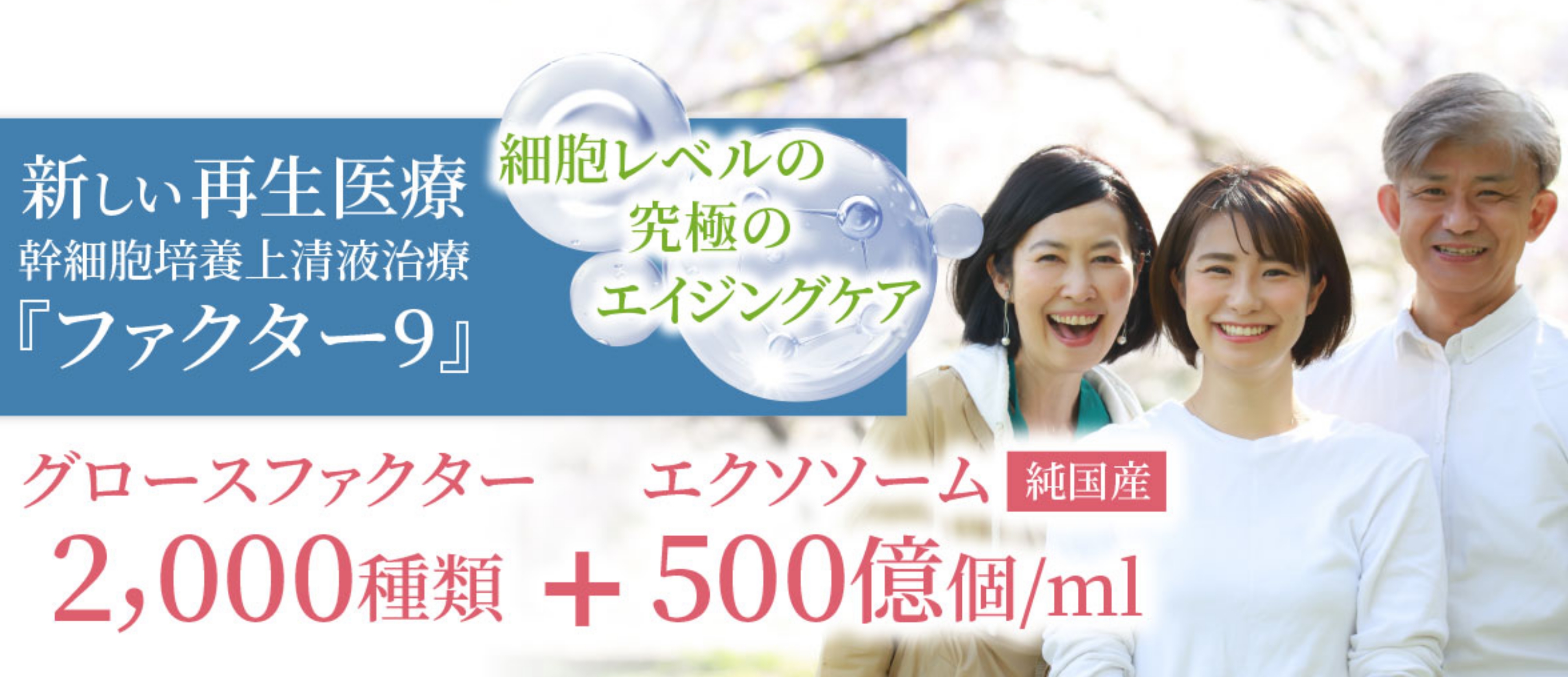Img 386564 1