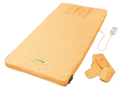 「ウェルナイトウェーブ WA-2200」