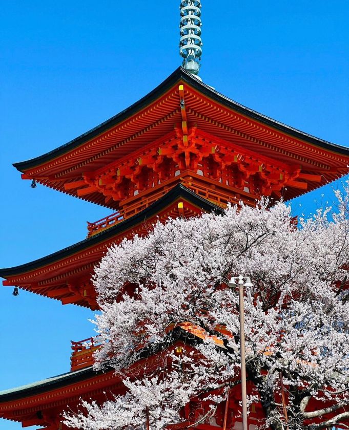 綺麗にあります。自分で取りに来てください。埼玉県ひばりヶ丘になります。 綺麗にあります。自分で取りに来てください。埼玉県ひばりヶ丘に