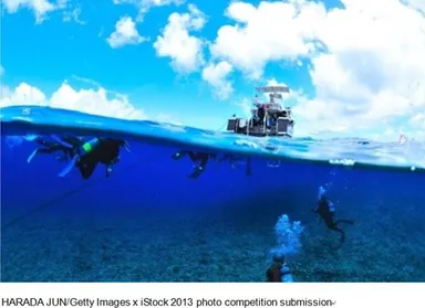 応募参加者からの写真例2