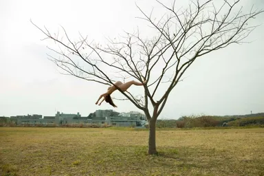 カリン・ピサリコヴァ作品