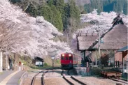 湯野上温泉駅と桜