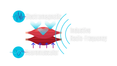 3Dニューロウェーブ