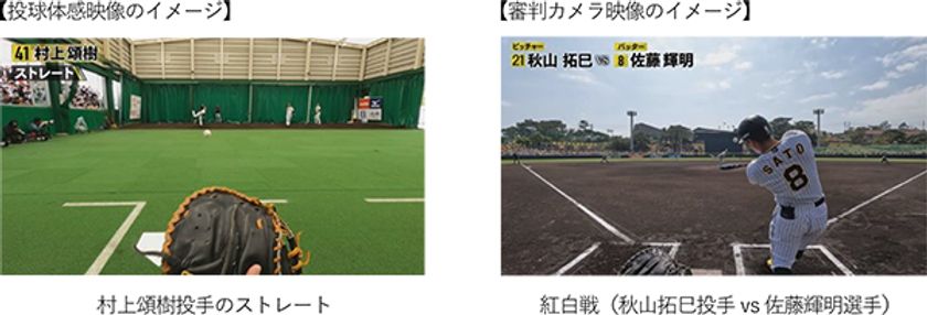 2024年版「投球体感映像」「審判カメラ映像」を
3月16日（土）から公開
～昨年最優秀選手賞を獲得した村上頌樹投手の投球を捕手目線で、
春季キャンプの紅白戦を審判目線で体感！！～