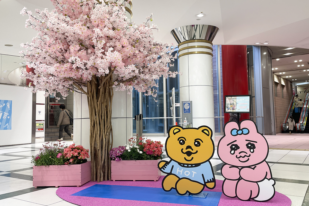 春爛漫！可愛さ満開！！ おぱんちゅうさぎと花づくしの1カ月半
