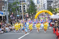 歴史を刻む阿波おどりグループが春の牧場を練り歩く