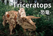 Triceratops(恐竜)