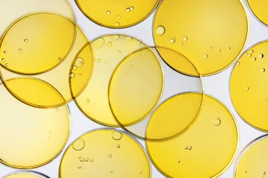 アラキドン酸イメージ