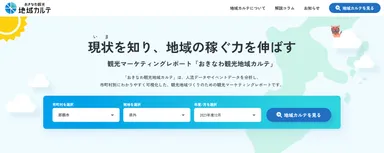 ＜おきなわ観光地域カルテ 正式版＞