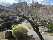 日本庭園が観賞できる休憩エリアイメージ1