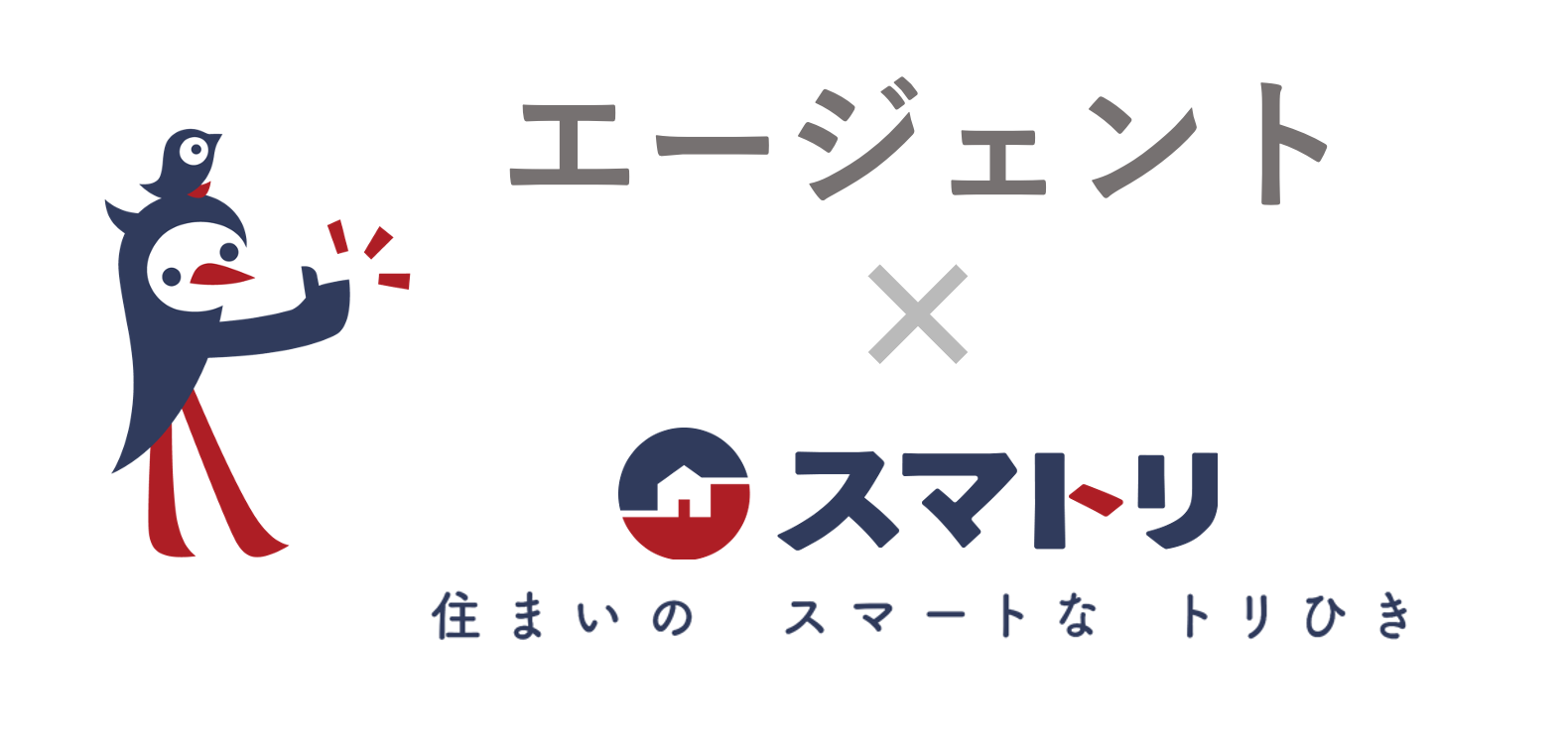 news feed image